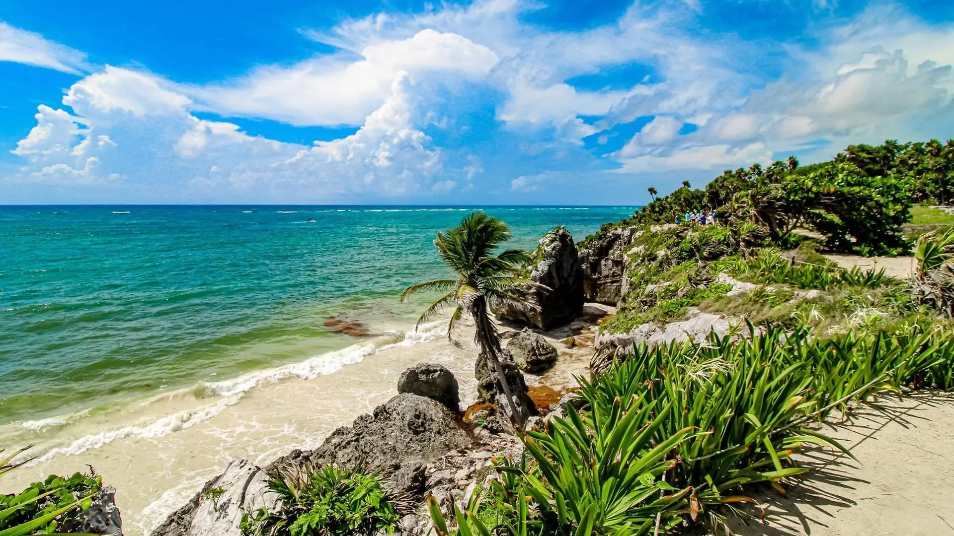 Tao Edena 69 Apartment Tulum