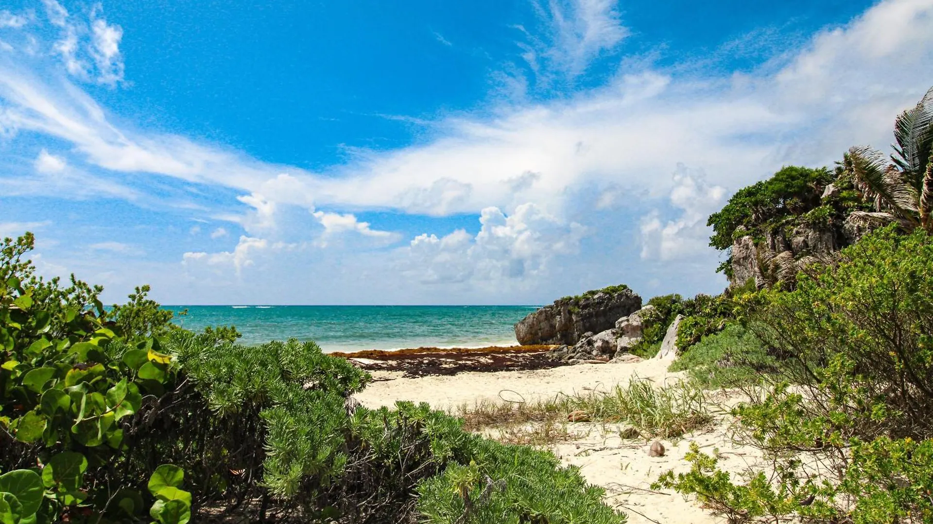 Tao Edena 69 Apartment Tulum Mexico