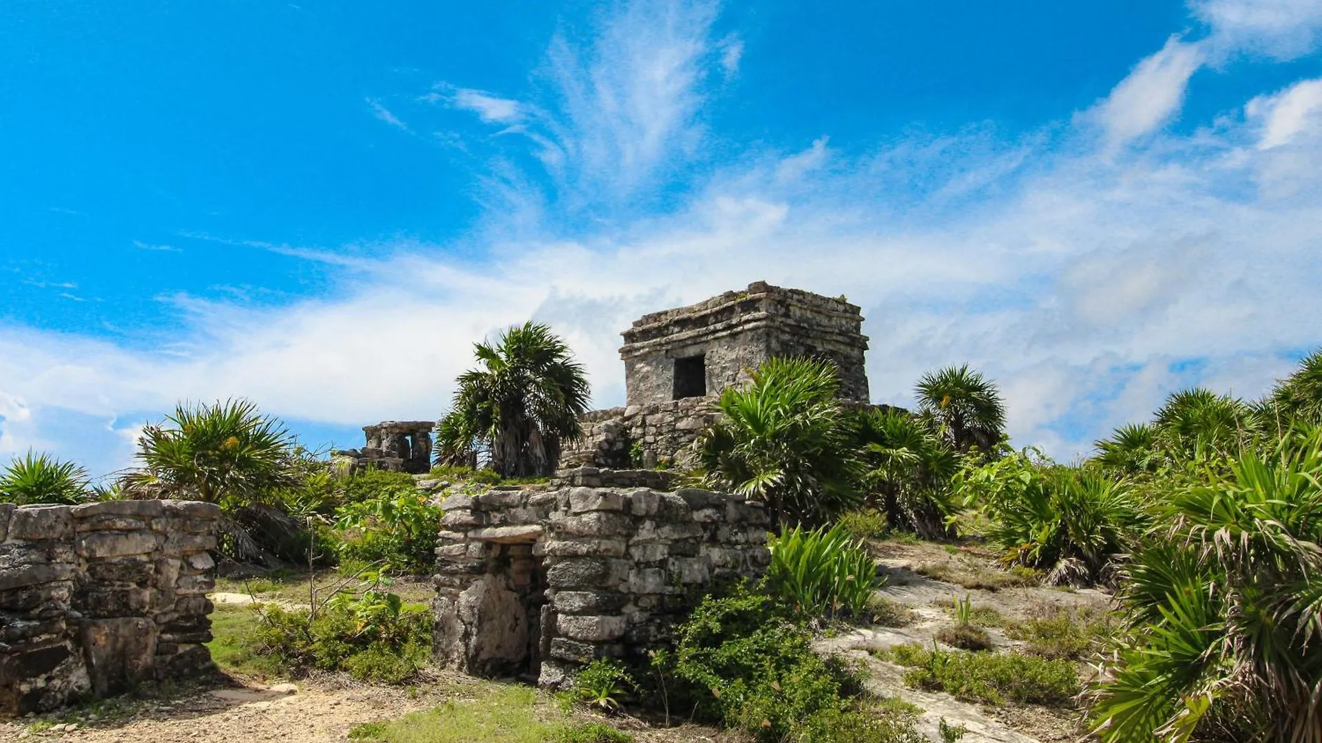 Tao Edena 69 Apartment Tulum