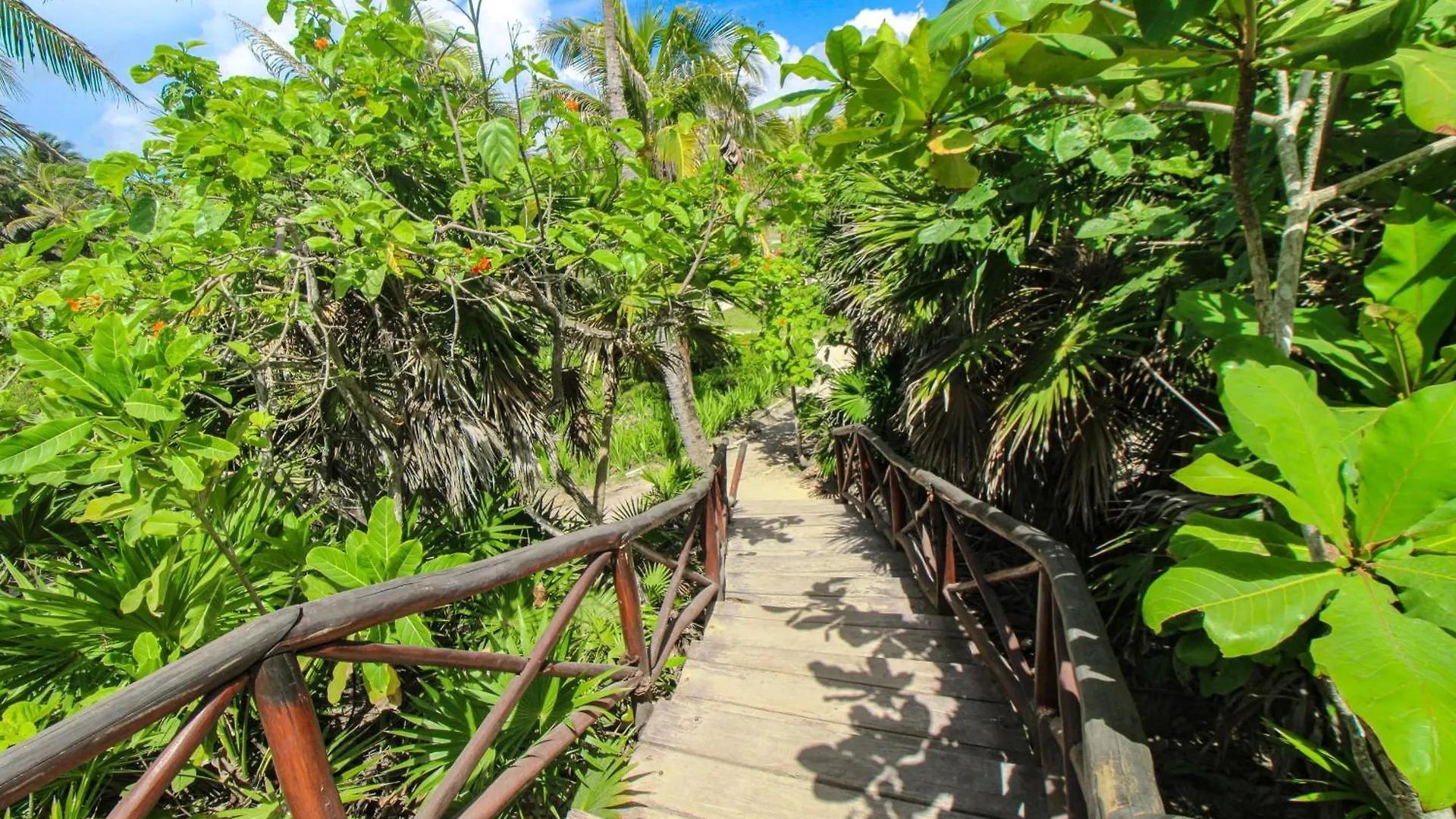 Tao Edena 69 Apartment Tulum