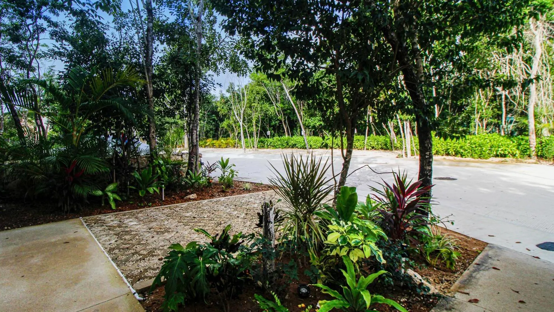 Tao Edena 69 Apartment Tulum 0*,